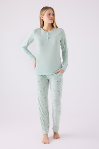 Arnetta 3063 Uzun Kol Kadın Pijama Takımı Yeşil