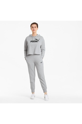 Puma Cropped Logo Tr Kadın Gri Kapüşonlu Sweatshirt Gri