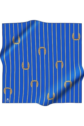 Vissona Tivil Gold-saks Mavisi İpek Eşarp 10502-11-32