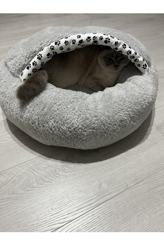 Coddry Pet Simit Mağara Yatak Kedi Küçük Irk Köpek Yatağı Gri