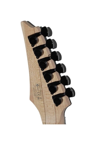 Ibanez Rga220z-cyb Rga Serisi Elektro Gitar Kutulu