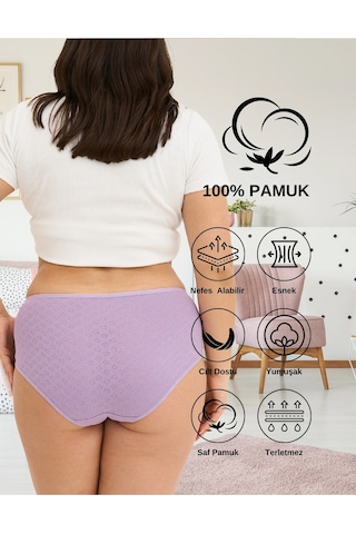 Alya Underwear %100 Pamuk Kumaşlı, Büyük Beden Yüksek Bel Kalp Desenli Ribana Jakar Kadın Külot Çok Renkli P15
