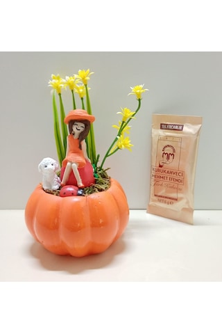 Evlilik Yıl Dönümü Hediyesi Kız Arkadaşa Doğum Günü Hediyesi Kabak Teraryum