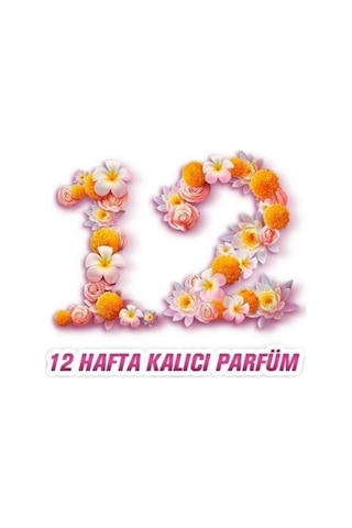 Parfumia Zarif Orkide Konsantre Yumuşatıcı 4'lü Seti 1440 Ml. Diğer