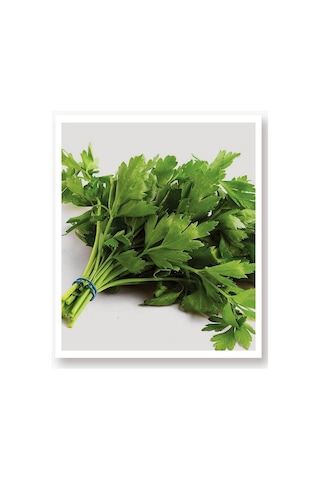 AGRodal Tarım Ata Tohumu Yerli Doğal Maydanoz 2500 Tohum