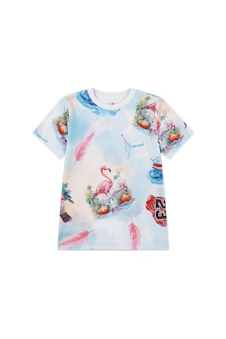 Nike Nıke Jordan Jdb Jordan Flamıngo Aop Ss Tee Erkek Çocuk Tişört 95d844 001 001 Çok Renkli