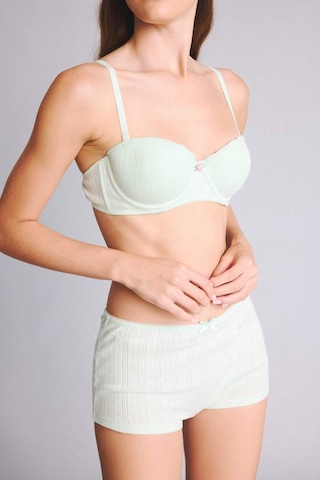 Defacto Delikli Dokuma Desenli Fiyonk Detaylı Nane Yeşili Boxer H3650ax26spgn1139 Yeşil-gn1139