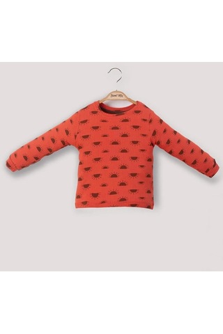 Baskılı Fitilli Çocuk Alt Üst Takım 001