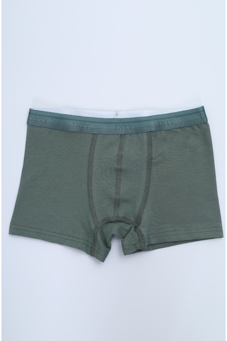 Toontoy Erkek Çocuk Tnty Yazı Baskılı 4lü Paket Boxer Çok Renkli