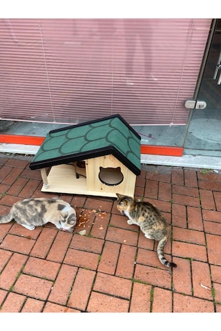 Reyo Narım Ahşap Mama Standlı Tırmalama Tahtalı Özel Tasarım Kedi Barınağı, Kedi Barınağı 74x45 Cm