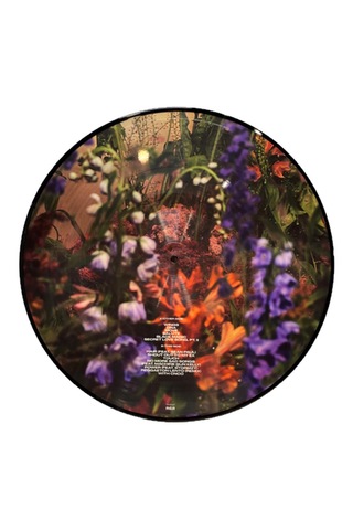 Little Mix - Between Us (Picture Disc - Perrie Edi tion) (2 Plak)
