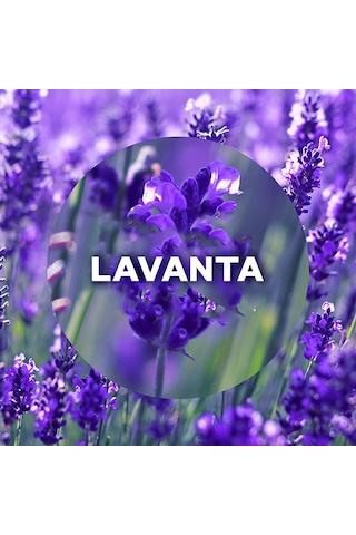 Air Wick Elektrikli Oda Kokusu Cihazı + Lavanta Yedek Şişe