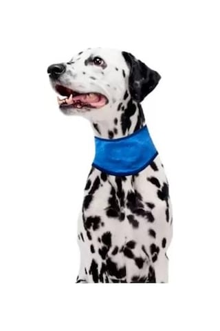Pawise Soğutucu Köpek Bandanası Xl 53-62 Cm Mavi