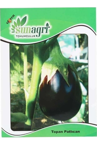 Sunagri Topan Patlıcan Tohumu