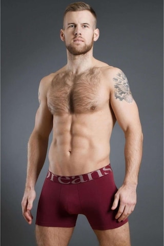 Doreanse 1777 Erkek Modal Bordo Boxer