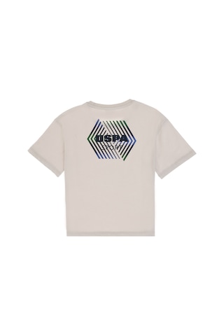 U.S. Polo Assn. Erkek Çocuk Açık Gri Comfort Bisiklet Yaka Tişört 50300064-VR001