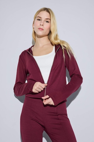 Defacto Slim Fit Dar Kesim Kapüşonlu Modal Fermuarlı Sweatshirt F7651ax25aubr115 Bordo-br115