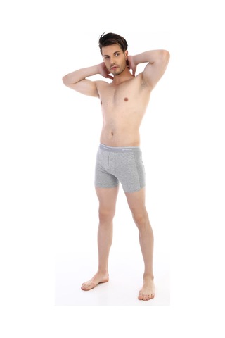 Çift Kaplan Erkek Elastanlı Biyeli Gri Melanj Boxer Şort 880 Gri
