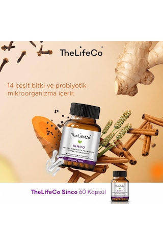 TheLifeCo Sinco 60 Kapsül