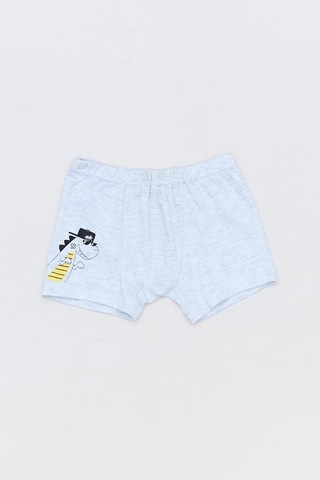 Fullamoda Dinozor Baskılı Erkek Çocuk 3 Lü Boxer 23mıcg631193589-sarı Sarı