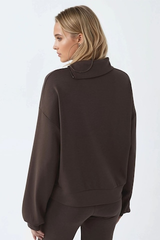 Hiccup Busem Rahat Kesim Fermuarlı Yaka Sweatshirt Kahve Kahvesi