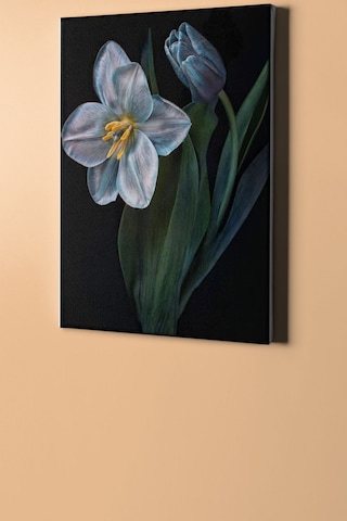 Webstyle Sayılarla Boyama Seti Kasnaklı Nilüfer 50 X 65 Cm
