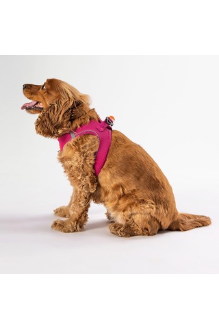 Pawstar Airmesh Kedi Köpek Göğüs Tasması Fuşya 3xs Fuşya