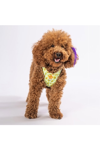 Pawstar Avocado Air-mesh Göğüs Tasması Kedi Köpek Göğüs Tasması Xlarge Sarı