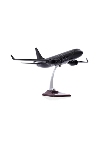 Zekupp - Maket Uçak - Boeing 737-800 1/100 - SİYAH ÖZEL TASARIM Model Uçak