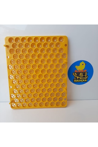 Bıldırcın Viyolü Kuluçka Makinesi Için 129 Yumurta 38x31