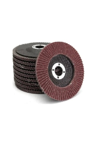 Flap Disk Zımpara 115 22 Mm 80 Kum Segnan