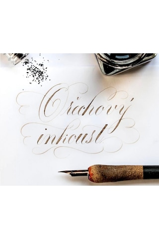 Walnut Ink Ceviz Mürekkebi-gölge Yazı-copperplate Mürekkebi-walnut 25ml-ink Ceviz Rengi Çok Renkli