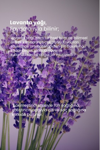 Tto Thermal Lavanta Yağı 10 Ml