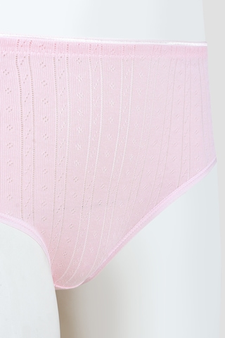 Loya Kadın Pembe Cotton Yüksek Bel Külot Pembe
