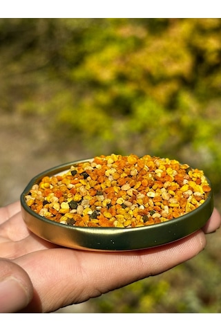 Hüdaverdi Arıcılık Polen 100 G