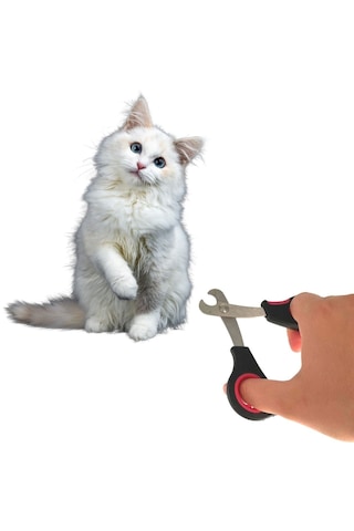 Go İthalat Büyük Irk Köpek Kedi Çelik Uçlu Evcil Hayvan Tırnak Makası Pati Bakım Aleti Ergonomik Kay
