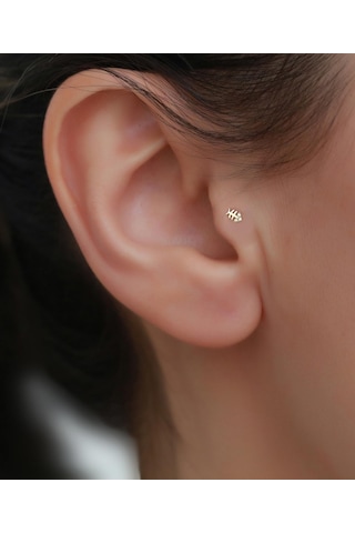 14 Ayar Altın Taşlı Balık Tragus Piercing Sarı Altın