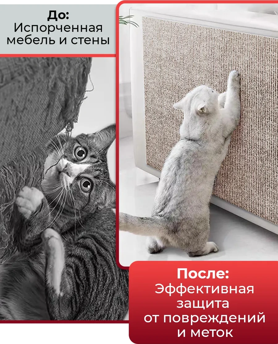 Conflate Kedi Tırmalama Tahtası Kendinden Yapışkanlı 307364958