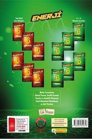 Palme 6.Sınıf Enerji Ingilizce 6+6 Deneme Sınavı