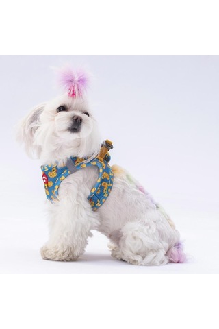 Pawstar Air-mesh Ducks Köpek Göğüs Tasması 2xs Genel