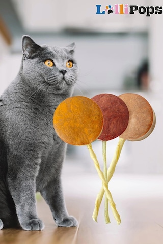 Pet Pops Freeze Dry Lolipop Yaban Mersinli, Kefirli Ve Kabaklı Kedi Ödülü 15 Li Karışık Paket
