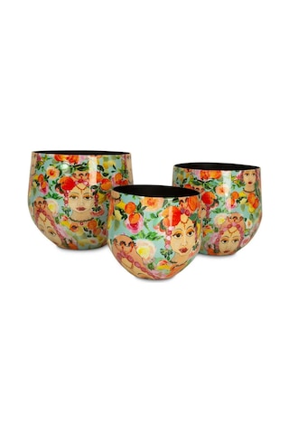 Blooming Namaste S Saksı