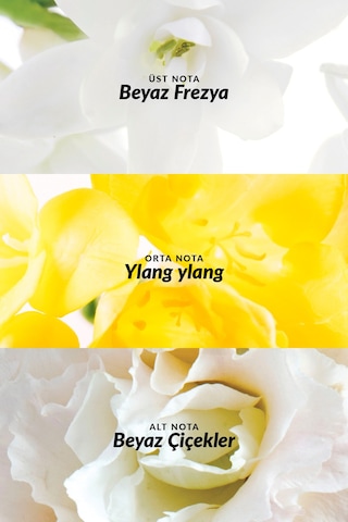 Pur Blanca Ve Pur Blanca Elegance Kadın Parfüm Paketi Diğer