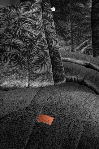 Lucie Jakar Kadife Mürdüm Çift Kişilik Yatak Örtüsü Takımı Siyah Bej