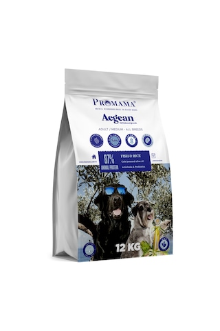 Promama Aegean Adult Balıklı Yetişkin Gag Eklem Destekli Köpek 12 KG
