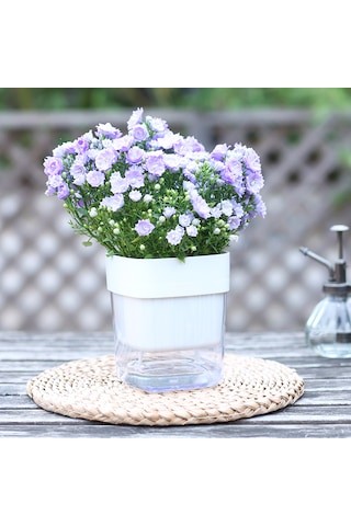 Kendinden Sulamalı Şeffaf Hazneli Kare Akıllı Saksı 16 X 17.5 X 16 Cm