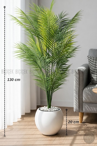 Areka Ağacı 24 Yapraklı 130 Cm Küre Saksıda Beyaz