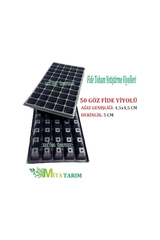 Fide Viyol 10 Adet, 50 Gözlü, Fide Viyolleri, Fide Viyolü (307010780)