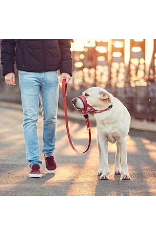 Elmpaly Kırmızı Xl Rahat Köpek Başlığı, Ayarlanabilir Tasmalı Antrenman Yürüyüş Yeleği