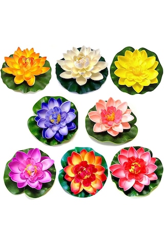 20 Adet Tohum Nadir Karışık Lotus Japon Su Çiçeği Tohumu Nilüfer